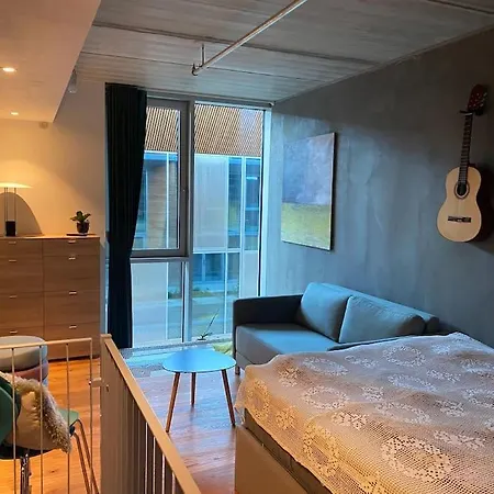 Appartement House In New York Style